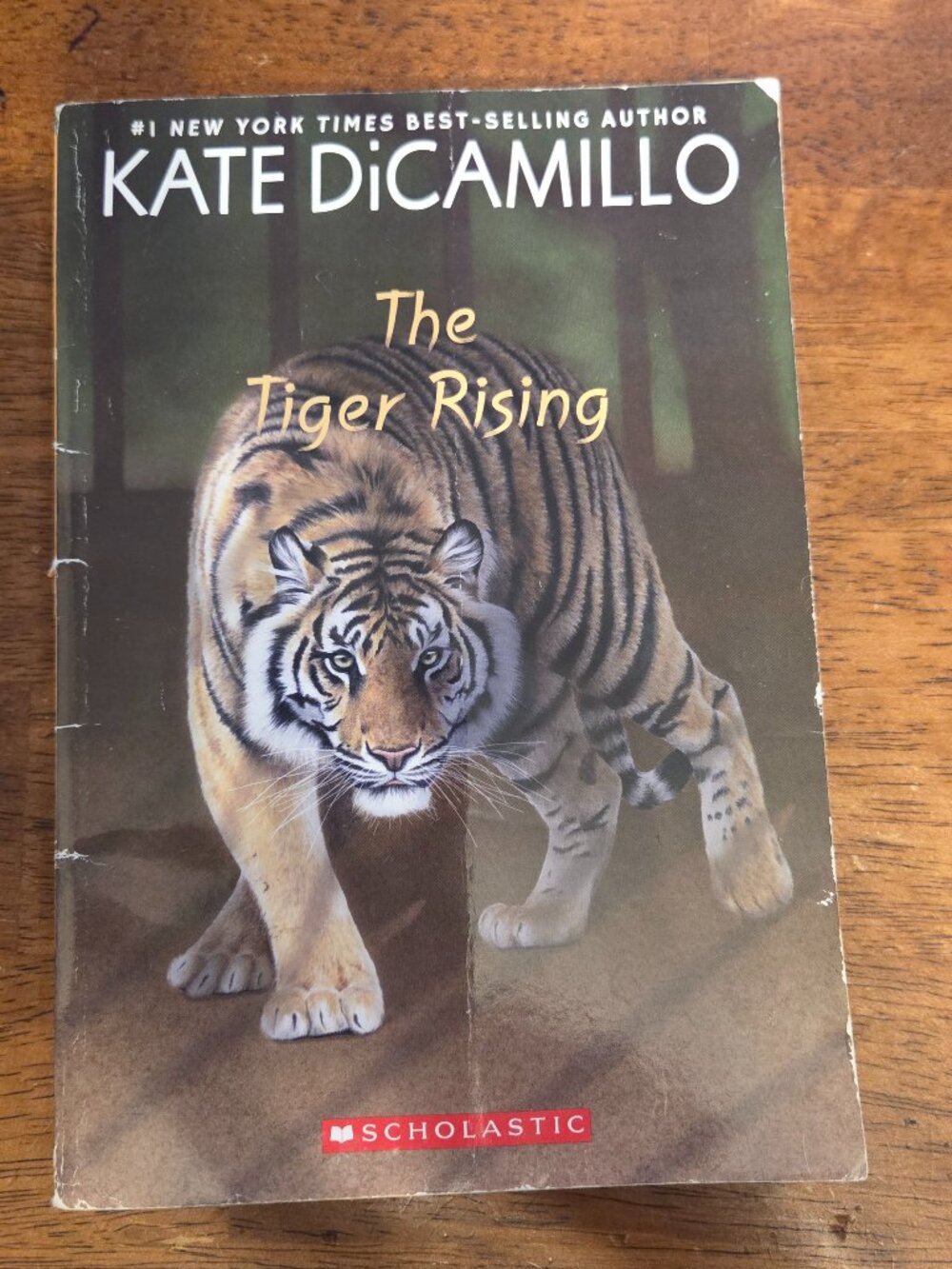 📕 5/$10 📕 The Tiger Rising by Kate DiCamillo Scholastic Paperback Middle Grade